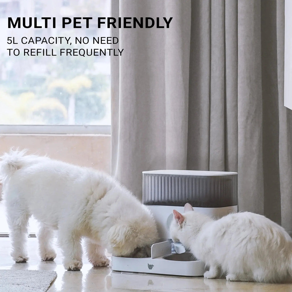 Double Automatic Pet Feeder with Splitter & Dual Bowls for Cats and Small Dogs