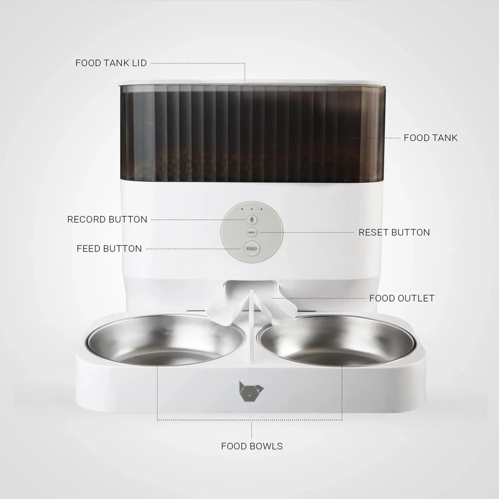 Double Automatic Pet Feeder with Splitter & Dual Bowls for Cats and Small Dogs