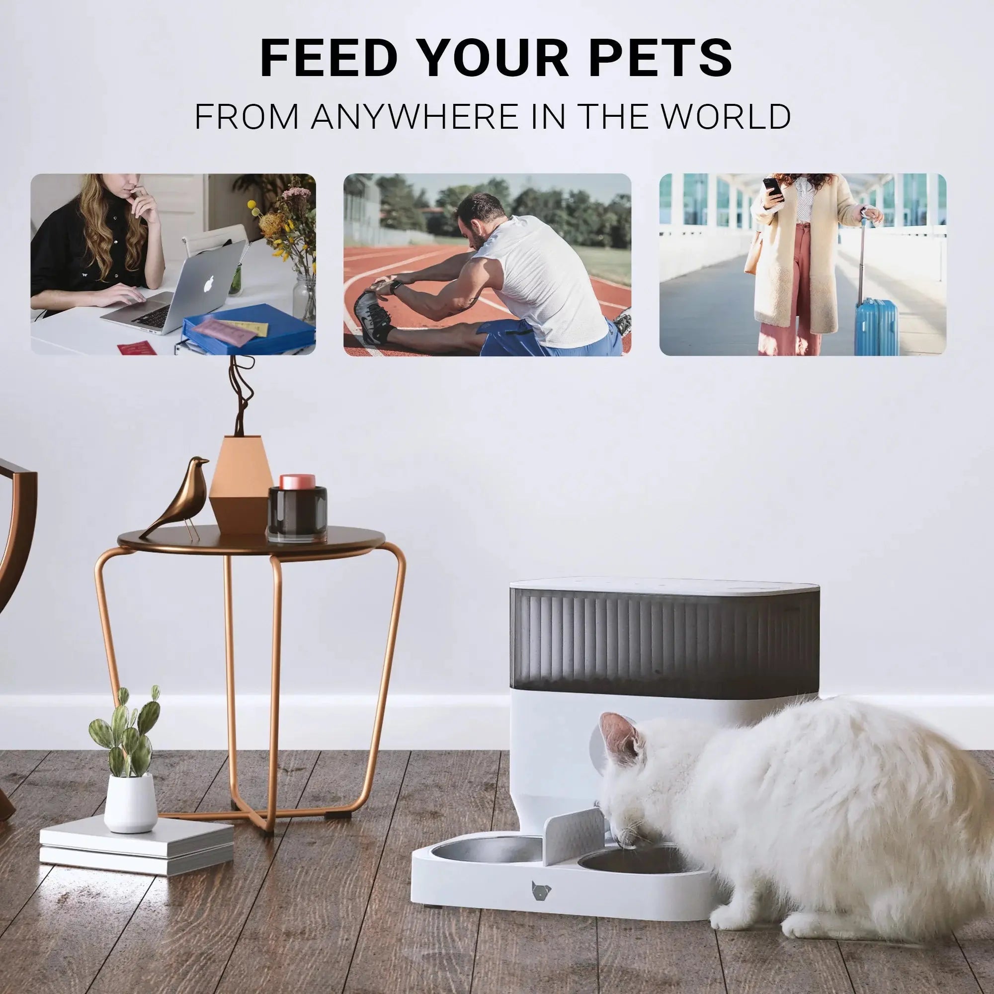 Double Automatic Pet Feeder with Splitter & Dual Bowls for Cats and Small Dogs