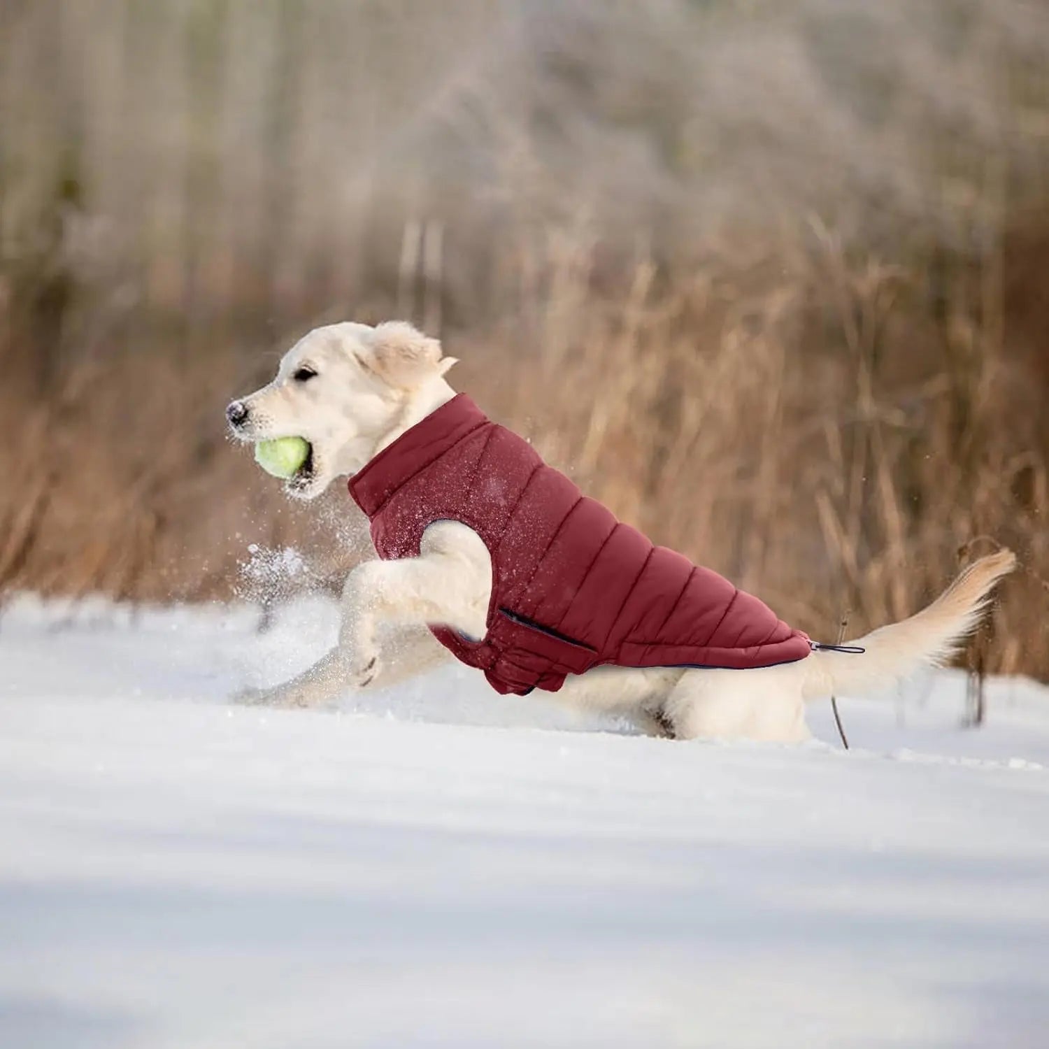 Lelepet Waterproof Reversible Dog Coat – Winter Puffer Vest, 2-in-1, XS-3X