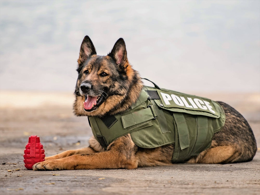 USA-K9 Grenade Rubber Dog Chew Toy | K9 Handler Reward Toy | Red & Blue | USA Made